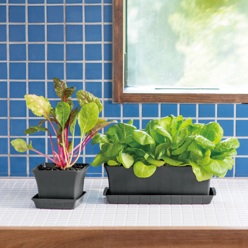 ベビーリーフプランター 27型N | リッチェル公式ウェブショップ