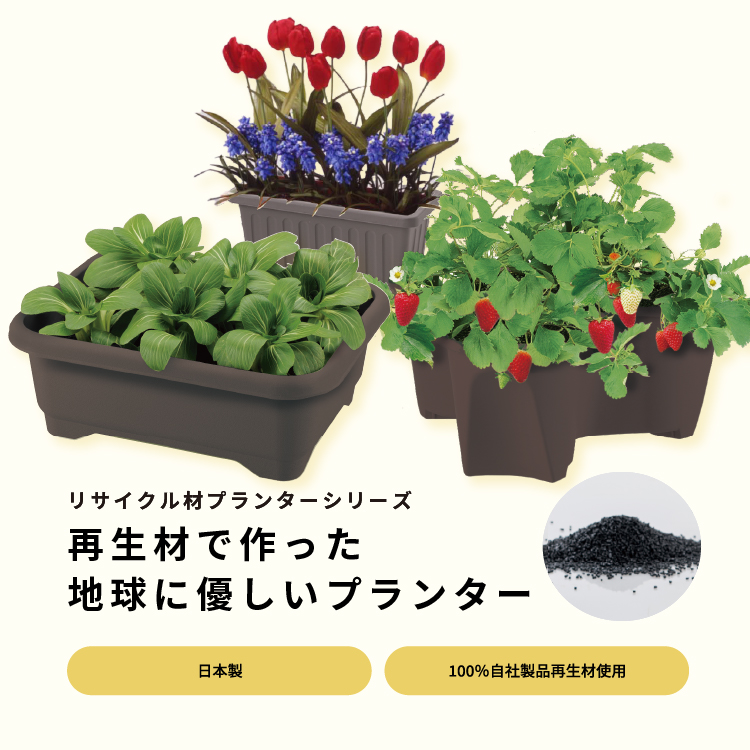 gardening_slider26_sp.jpg