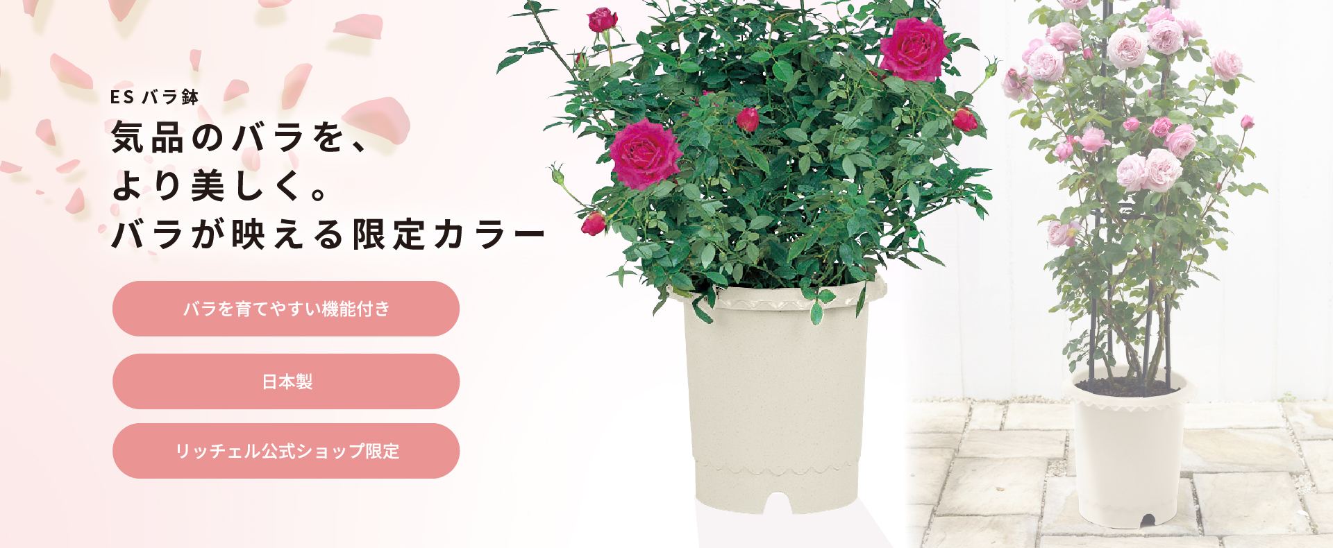 ガーデン用品：ES バラ鉢