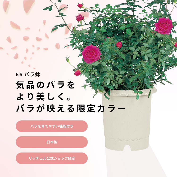 ガーデン用品：ES バラ鉢