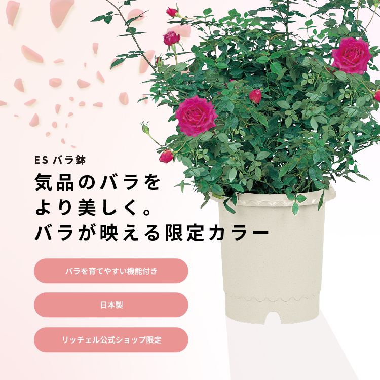 ガーデン用品：ES バラ鉢