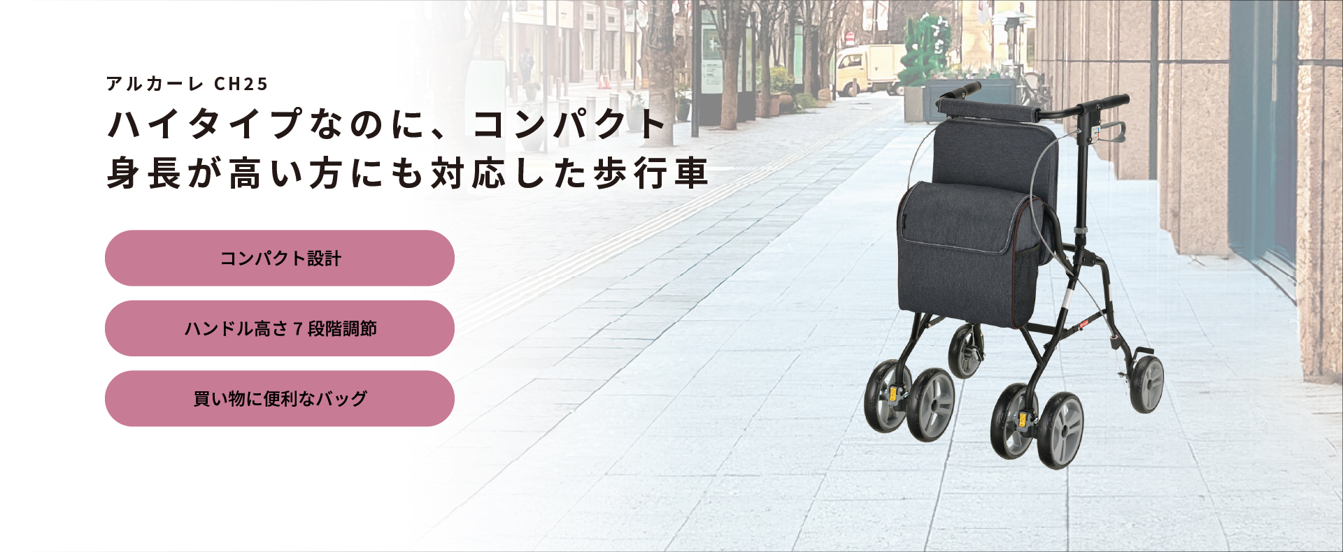 アルカーレ CH25