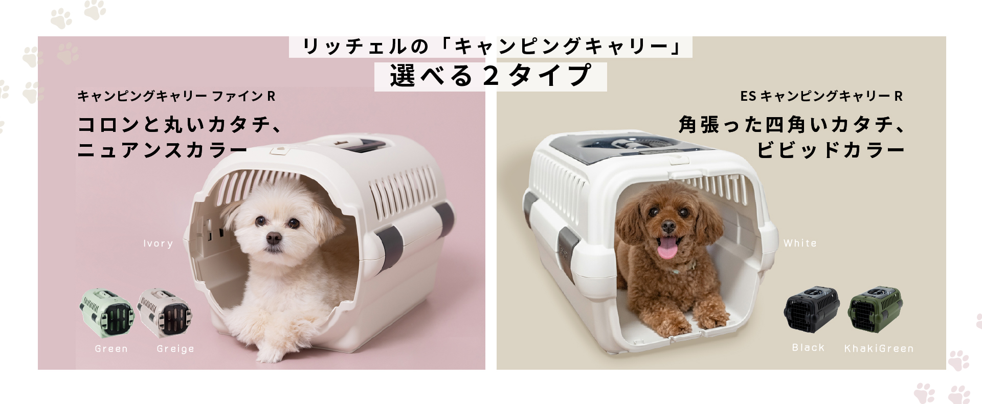 キャンピングキャリーR