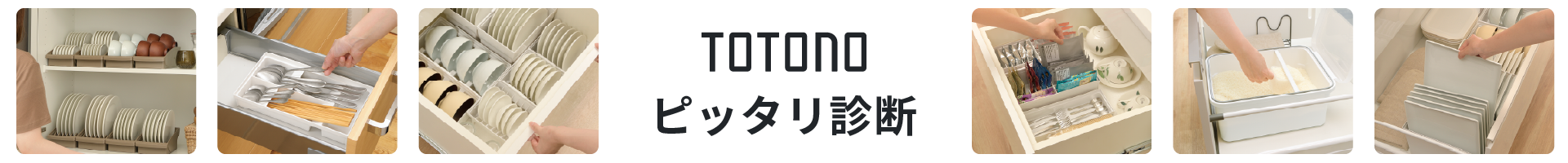 トトノ ピッタリ診断