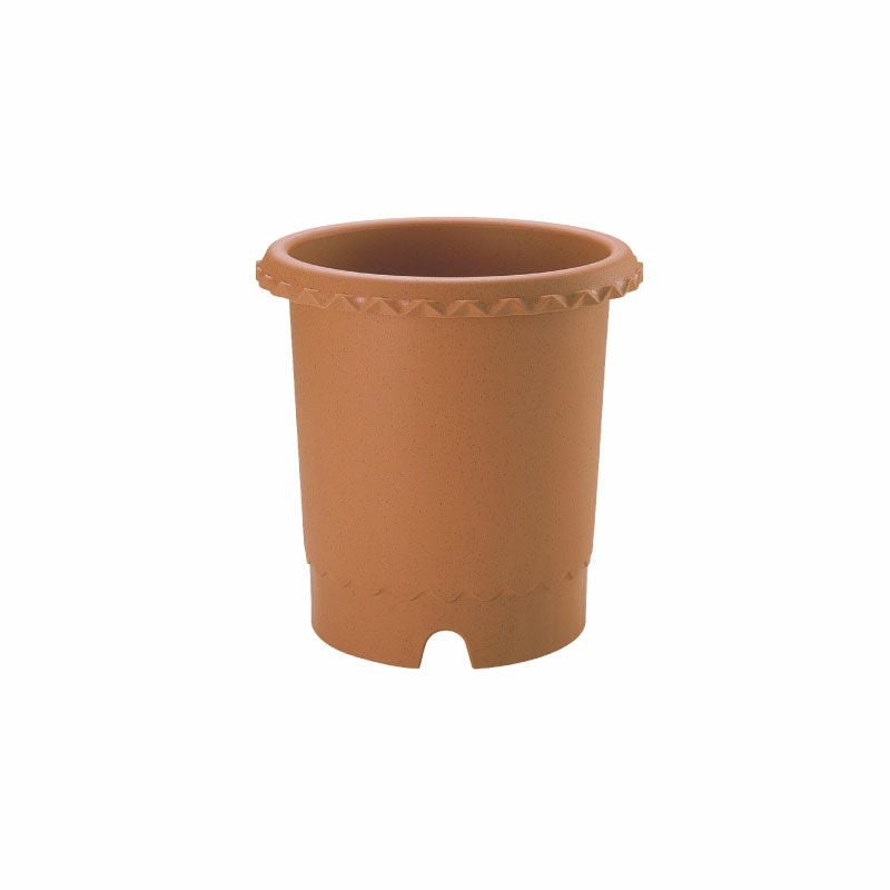 000000000875-02.jpg?size=m&w=