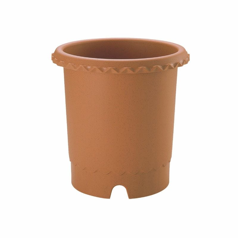 000000000876-02.jpg?size=m&w=