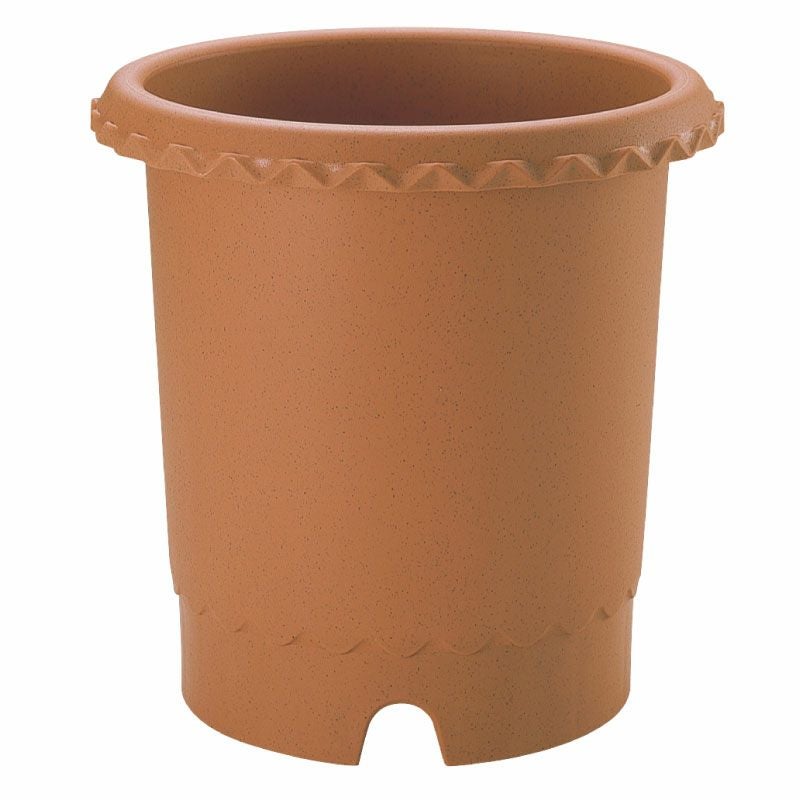 000000000878-02.jpg?size=m&w=