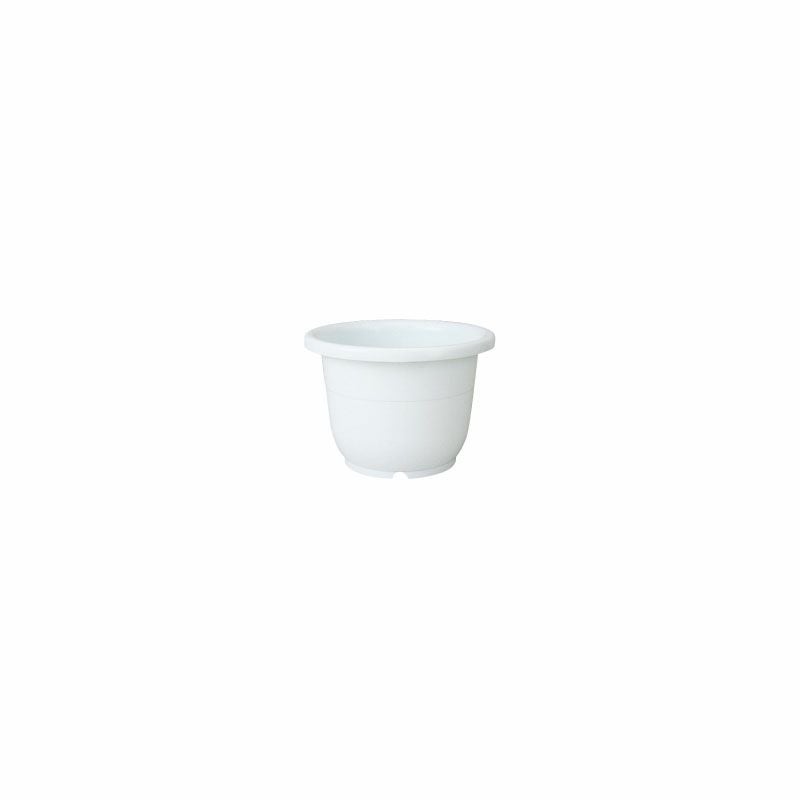 000000000879-01.jpg?size=m&w=