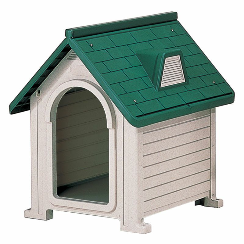 000000003364-01.jpg?size=m&w=